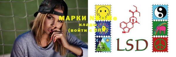 ГАЛЛЮЦИНОГЕННЫЕ ГРИБЫ Алзамай