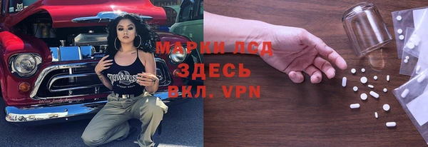 ГАЛЛЮЦИНОГЕННЫЕ ГРИБЫ Алзамай