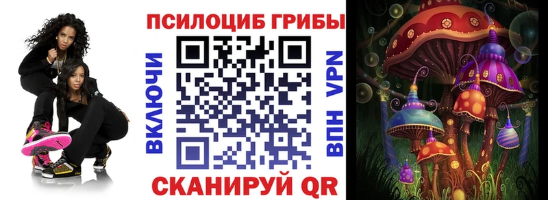 Галлюциногенные грибы Psilocybe  Купить закладки  Баксан 